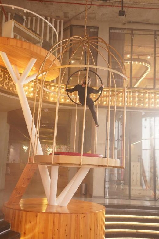 Aerial hoop in the golden cage